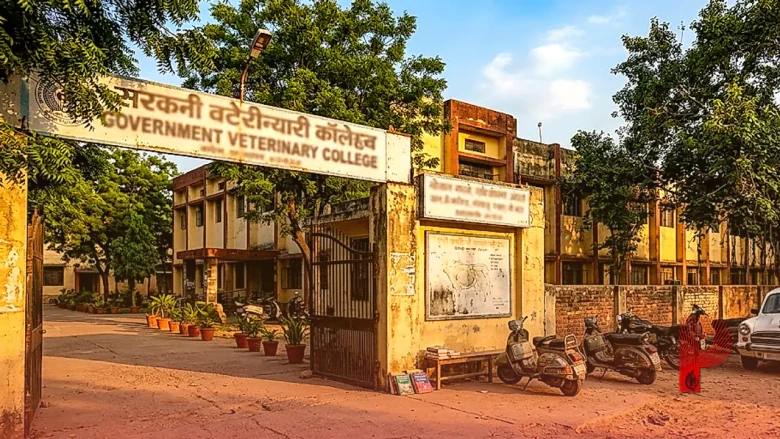 वेटरनरी टेक्नीशियन कोर्स: 12वीं के बाद पशु चिकित्सक कैसे बनें, जानिए पूरी जानकारी