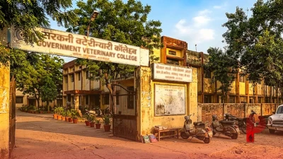 वेटरनरी टेक्नीशियन कोर्स: 12वीं के बाद पशु चिकित्सक कैसे बनें, जानिए पूरी जानकारी