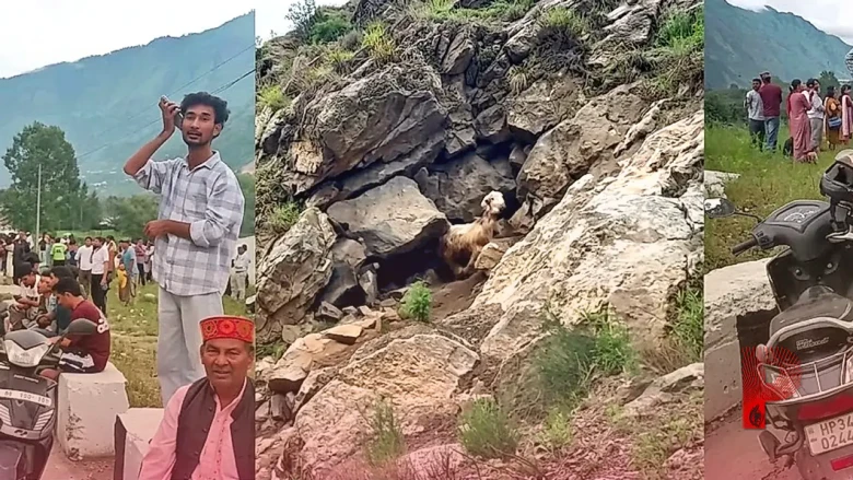 कुल्लू में अंधविश्वास या आस्था? गुफा से दिन में दो बार निकलने वाली बकरी को लोग मान रहे 'देवी का चमत्कार', उमड़ रही भारी भीड़