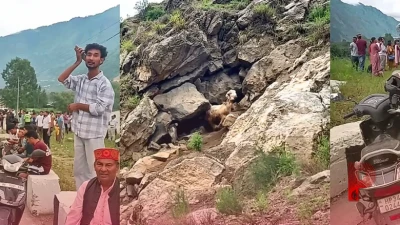 कुल्लू में अंधविश्वास या आस्था? गुफा से दिन में दो बार निकलने वाली बकरी को लोग मान रहे 'देवी का चमत्कार', उमड़ रही भारी भीड़