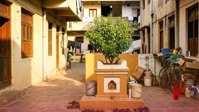तुलसी वास्तु नियम: क्या आपके घर में भी तुलसी के पास रखी हैं ये चीजें? हो जाएं सावधान