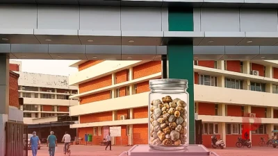 अंबाला में किडनी स्टोन का कहर: आखिर क्यों युवाओं को अपना शिकार बना रही है ये बीमारी?