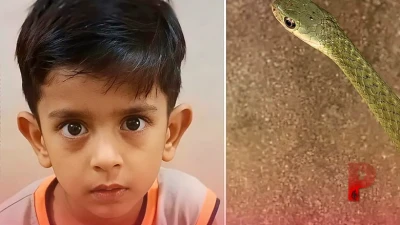 कानपुर में परिजनों की सूझबूझ से बची सांप के डसे मासूम की जान, अस्पताल ले जाने से पहले मोबाइल में कैद की थी जहरीले जीव की तस्वीर