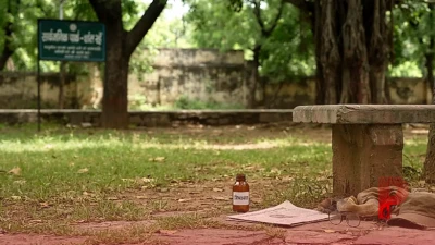 इंदौर में आर्थिक तंगी का दंश, मां-बेटे ने पार्क में जहरीला पदार्थ खाकर दी जान