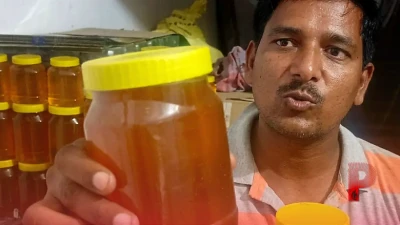 बारिश के मौसम में मधुमक्खी पालन की चुनौतियां, रानी मक्खी के प्रजनन पर पड़ता है असर