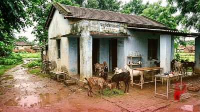 बकरी पालन में बरती गई एक लापरवाही पड़ सकती है भारी, मानसून में सिर्फ 5 रुपये में पाएं सुरक्षित इलाज