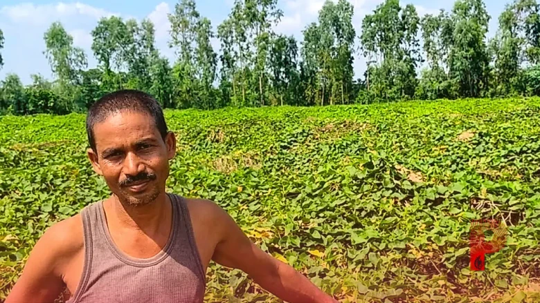 जैविक खेती को बढ़ावा देने के लिए सरकार का बड़ा फैसला, कीट नियंत्रण उपकरणों पर मिलेगा 75 प्रतिशत अनुदान