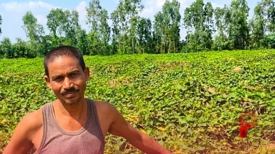 जैविक खेती को बढ़ावा देने के लिए सरकार का बड़ा फैसला, कीट नियंत्रण उपकरणों पर मिलेगा 75 प्रतिशत अनुदान