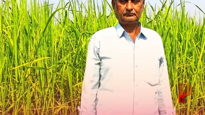 पश्चिम चंपारण के विजय गिरी ने किया कमाल, अपने खेतों में उगा रहे हैं धान की 15 दुर्लभ किस्में, 'संजीवनी' और 'मैजिक राइस' जैसे अनोखे चावल शामिल