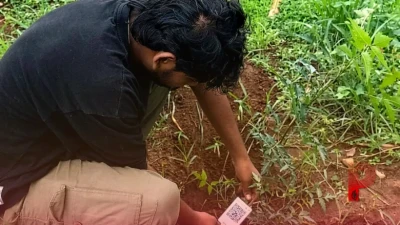 पलामू टाइगर रिजर्व का हाईटेक कदम: झारखंड में पहली बार पेड़ों की होगी डिजिटल पहचान, QR कोड से मिलेगा हर पौधे का पूरा ब्योरा