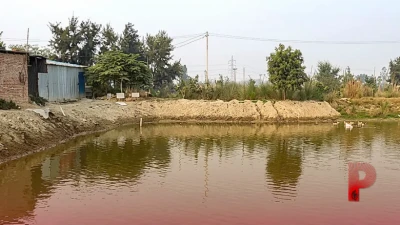 छपरा के पप्पू यादव की कामयाबी: नौकरी न मिलने पर अपनाया मछली पालन का रास्ता, बन गए प्रेरणा