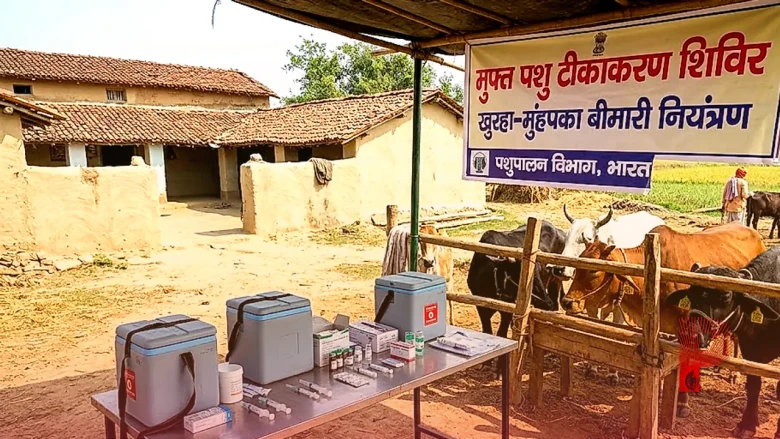 पशुपालकों के लिए बड़ी खबर: खुरहा-मुंहपका बीमारी से बचाने के लिए विभाग चला रहा मुफ्त टीकाकरण अभियान
