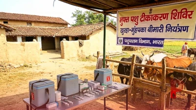 पशुपालकों के लिए बड़ी खबर: खुरहा-मुंहपका बीमारी से बचाने के लिए विभाग चला रहा मुफ्त टीकाकरण अभियान