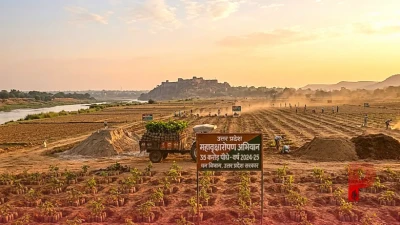 उत्तर प्रदेश में आज से महावृक्षारोपण अभियान, 35 करोड़ पौधे लगाने का है बड़ा लक्ष्य