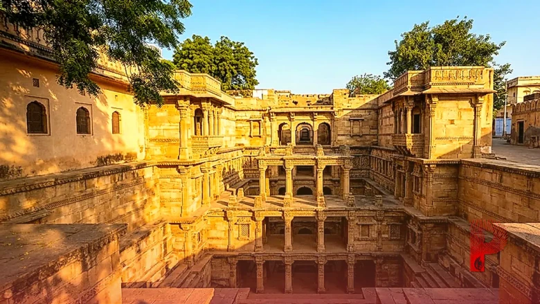 विटामिन D सप्लीमेंट लेने का सही समय और तरीका क्या है, जानिए न्यूरोलॉजिस्ट की राय