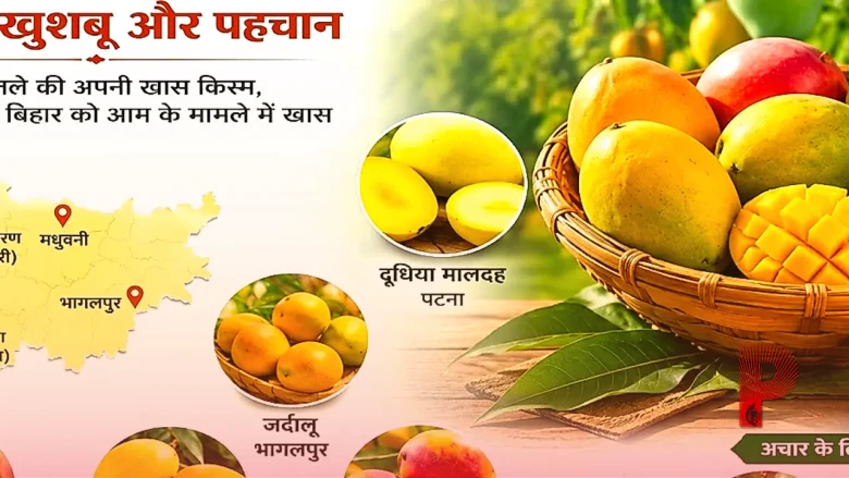 चौसा से जर्दालू तक बिहार के आमों का जलवा, क्या आप जानते हैं राज्य की इन खास किस्मों के बारे में?