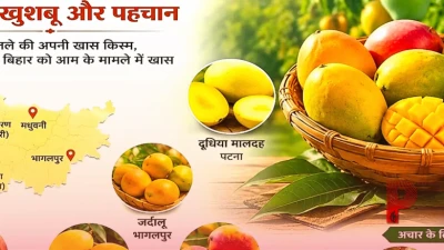 चौसा से जर्दालू तक बिहार के आमों का जलवा, क्या आप जानते हैं राज्य की इन खास किस्मों के बारे में?