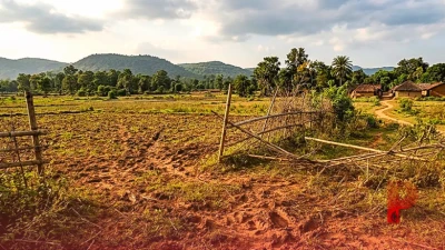 ओडिशा: 14 साल के बच्चे ने दिखाई अद्भुत हिम्मत, अकेले ही जंगली सूअर का किया मुकाबला
