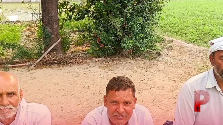 फरीदाबाद के धान किसानों की बढ़ी मुसीबत, बिजली कटौती और बारिश की कमी से आधी रात को सिंचाई करने की मजबूरी