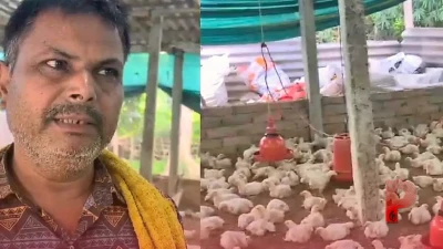 बेगूसराय के पंकज सिंह ने दूसरों की सफलता देख बदला अपना भाग्य, अब गांव में मुर्गी पालन से हर महीने कमा रहे ₹50,000