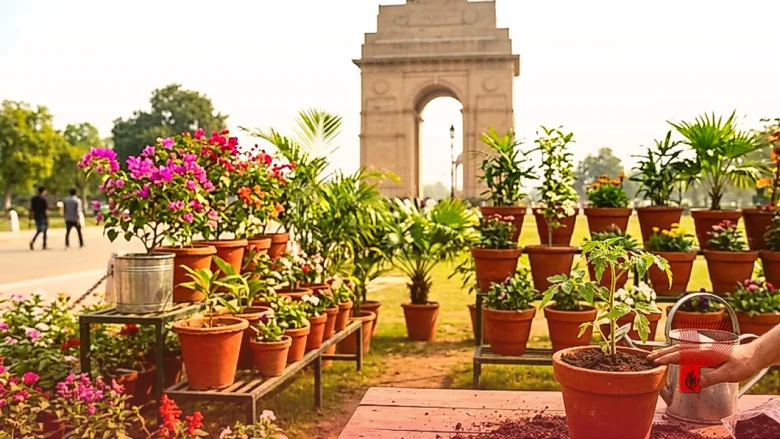 गमले में पौधा लगाने का सही तरीका: विशेषज्ञ से जानें गार्डनिंग के खास नुस्खे