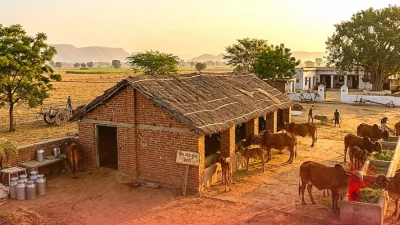 वास्तु दोष दूर करने के लिए घर लाए थे गिर गाय, अब लाखों की कमाई कर रहे कृष्णा संघई