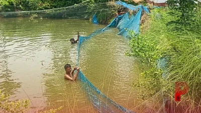 मत्स्य पालन: बिहार के किसानों के लिए सुनहरा मौका, 6 दिन की मुफ्त ट्रेनिंग का होगा आयोजन