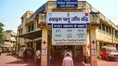 स्वाइन फ्लू के बढ़ते मामलों से चिंता, डॉक्टर ने बताए H1N1 संक्रमण के ये जरूरी लक्षण