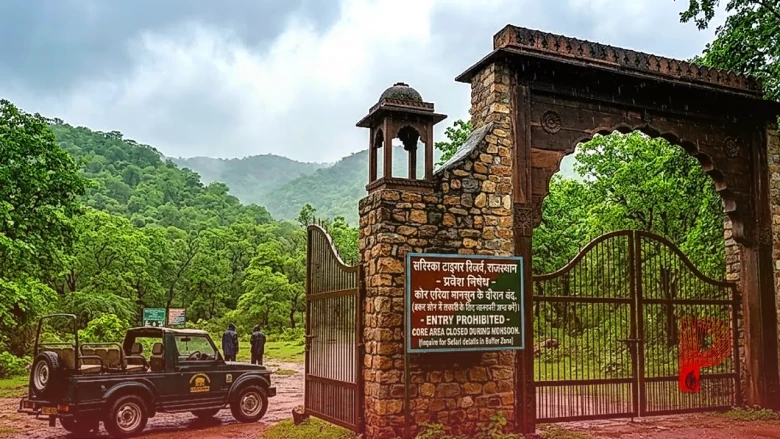 मानसून के दौरान बंद हुआ सरिस्का का कोर एरिया, फिर भी सैलानी देख सकेंगे 11 बाघ