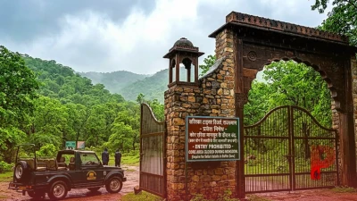 मानसून के दौरान बंद हुआ सरिस्का का कोर एरिया, फिर भी सैलानी देख सकेंगे 11 बाघ