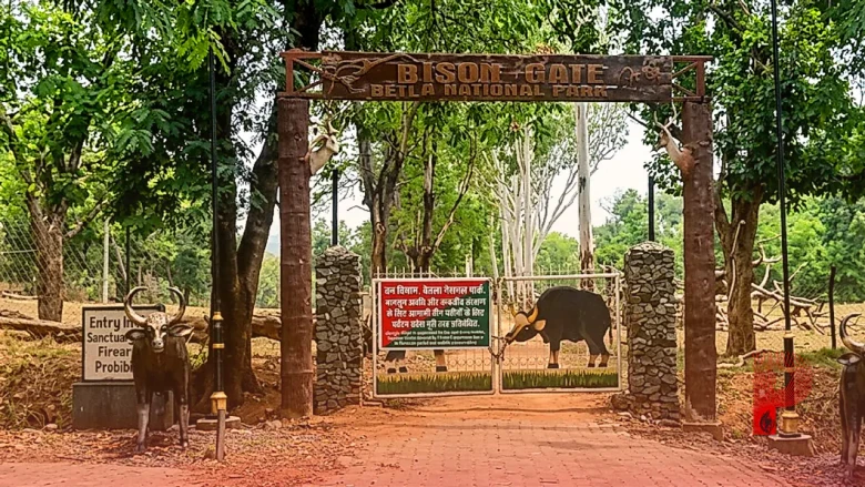 झारखंड के बेतला नेशनल पार्क में अगले तीन महीनों के लिए थमी जंगल सफारी, वन विभाग ने पर्यटकों के प्रवेश पर लगाया प्रतिबंध