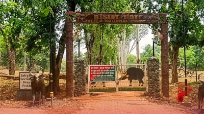 झारखंड के बेतला नेशनल पार्क में अगले तीन महीनों के लिए थमी जंगल सफारी, वन विभाग ने पर्यटकों के प्रवेश पर लगाया प्रतिबंध