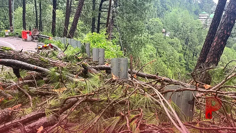 नेपाल की तबाही के बाद हिमाचल में हाई अलर्ट, मॉनसून की मार से 247 लोगों की मौत, 1183 करोड़ का नुकसान