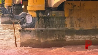 हरिद्वार का ऐतिहासिक हाथी पुल: बिना आधुनिक मशीनों के 172 साल से अडिग खड़ा है ब्रिटिश इंजीनियरिंग का यह नायाब नमूना