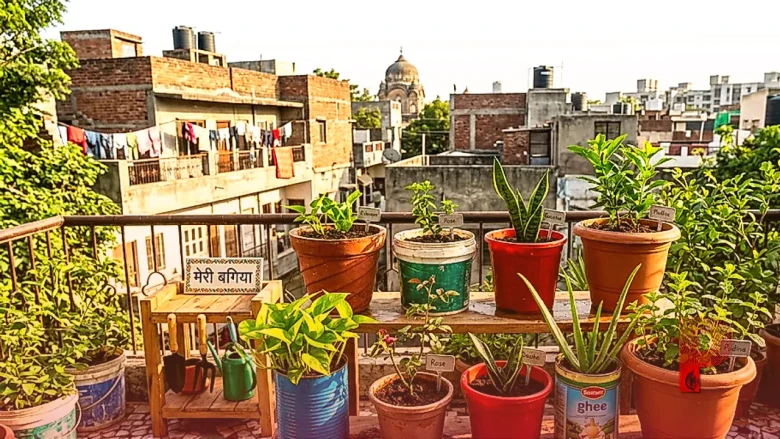 घर बैठे बनाएं अपना छोटा सा गार्डन, कटिंग से उगाएं ये 5 खास पौधे