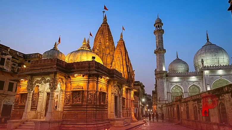 मोहन भागवत का न्यूयॉर्क में बड़ा बयान, कहा- भारत में मुस्लिम नहीं होने चाहिए, यह सोचना हिंदुत्व नहीं है