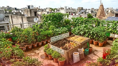 6 साल से घर की छत पर फल-फूल रहा किचन गार्डन, सब्जियों के छिलके और चावल की भूसी से तैयार होती है जादुई खाद