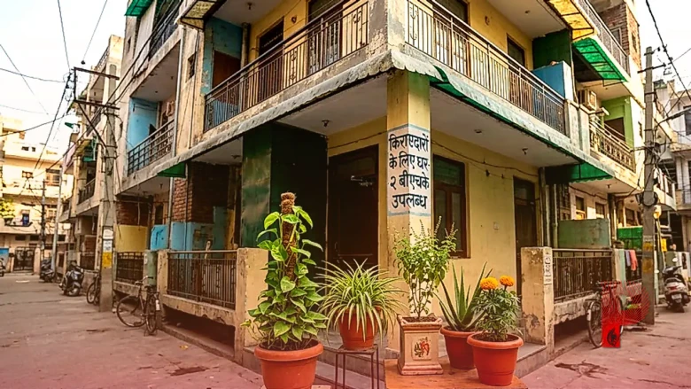 किराए के मकान में रहते हैं तो जरूर लगाएं ये 5 शुभ पौधे, जल्द पूरा होगा अपना घर पाने का सपना