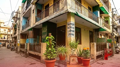 किराए के मकान में रहते हैं तो जरूर लगाएं ये 5 शुभ पौधे, जल्द पूरा होगा अपना घर पाने का सपना