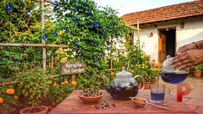 अपराजिता चाय बनाने की आसान विधि और इसके जबरदस्त स्वास्थ्य लाभ