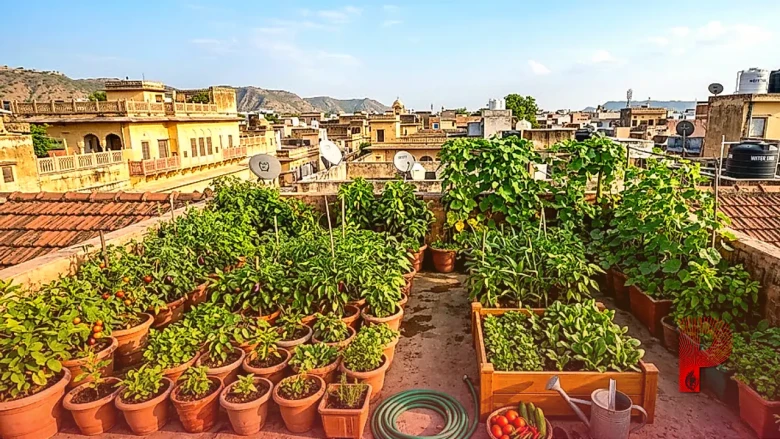 सितंबर में अपने किचन गार्डन की ऐसे करें देखभाल, मानसून के जाते ही अपनाएं ये खास टिप्स