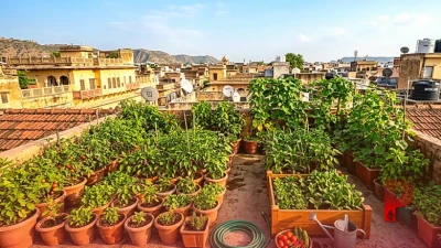 सितंबर में अपने किचन गार्डन की ऐसे करें देखभाल, मानसून के जाते ही अपनाएं ये खास टिप्स