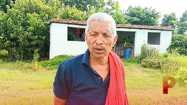 खीरे की खेती: एक पौधे से 100 फल पाने का जादुई तरीका, दरभंगा के किसान की कमाई देख हैरान रह जाएंगे आप