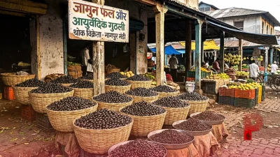 जामुन की गुठली के जादुई फायदे: शुगर और वजन को रखने में कारगर, लेकिन बरतें ये खास सावधानी