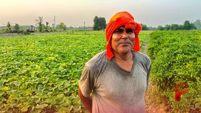 बारिश में बर्बाद हुई फसल, लेकिन इस किसान ने अपनाया अनोखा तरीका, पूरे सीजन हुई शानदार कमाई