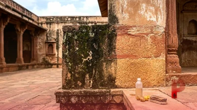 दीवारों और फर्श से काई हटाने का अचूक नुस्खा, सिर्फ 5 रुपये में पाएं चमक