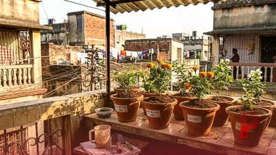 घर के कामों में ऐसे करें बची हुई चायपत्ती का शानदार इस्तेमाल, बचेंगे पैसे और मिलेगी राहत