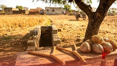 बिना मशीन और सेंसर के चमत्कार, लकड़ी और नारियल से जमीन के अंदर पानी ढूंढ रहे सागर के रेवाराम