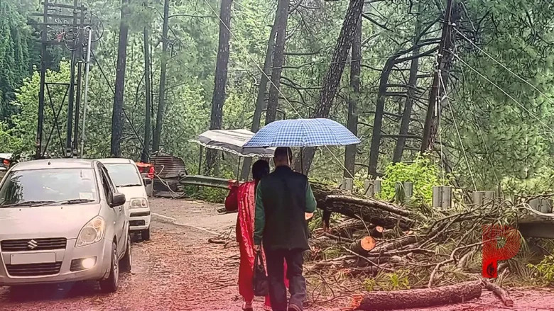 हिमाचल प्रदेश में मॉनसून का असर: 298 लोगों की मौत और 1683 करोड़ का नुकसान, जानें अगले 5 दिन का मौसम