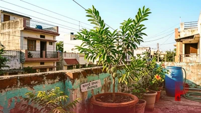 घर पर सीताफल उगाना है तो जान लें ये 5 जरूरी टिप्स, वरना नहीं मिलेंगे फल